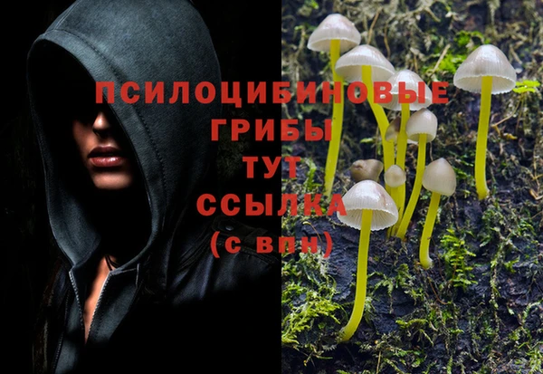 каннабис Алексеевка